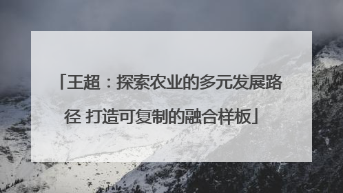 王超：探索农业的多元发展路径 打造可复制的融合样板