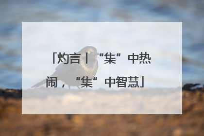 灼言丨“集”中热闹，“集”中智慧