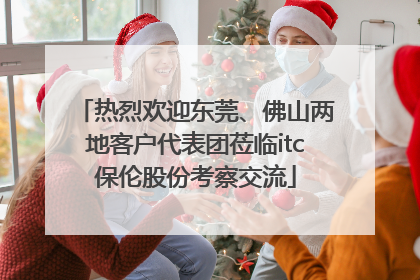 热烈欢迎东莞、佛山两地客户代表团莅临itc保伦股份考察交流
