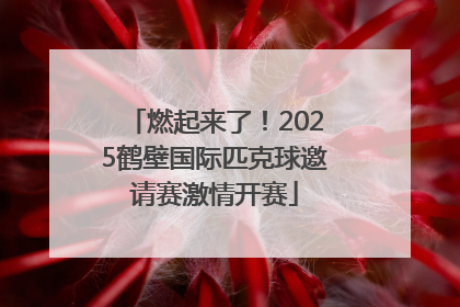 燃起来了！2025鹤壁国际匹克球邀请赛激情开赛