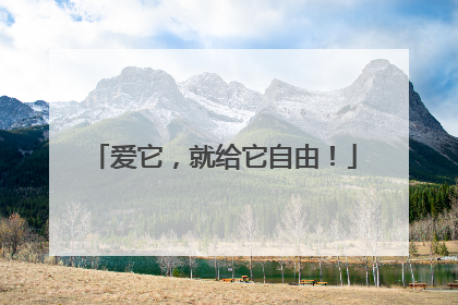 爱它，就给它自由！