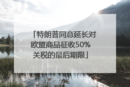 特朗普同意延长对欧盟商品征收50%关税的最后期限