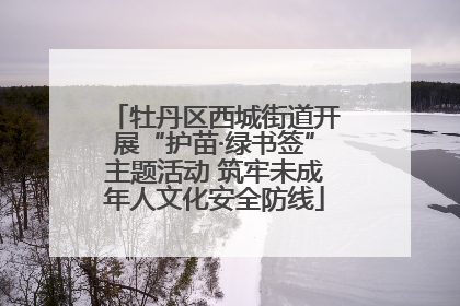 牡丹区西城街道开展“护苗·绿书签”主题活动 筑牢未成年人文化安全防线