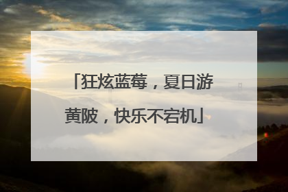 狂炫蓝莓，夏日游黄陂，快乐不宕机