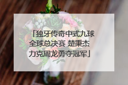 独牙传奇中式九球全球总决赛 楚秉杰力克周龙勇夺冠军