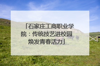 石家庄工商职业学院：传统技艺进校园焕发青春活力