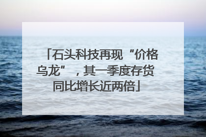 石头科技再现“价格乌龙”，其一季度存货同比增长近两倍