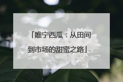 睢宁西瓜：从田间到市场的甜蜜之路