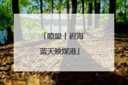 瞭望丨碧海蓝天映煤港