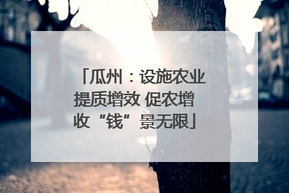 瓜州：设施农业提质增效 促农增收“钱”景无限