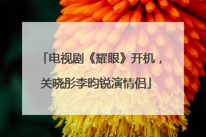 电视剧《耀眼》开机，关晓彤李昀锐演情侣