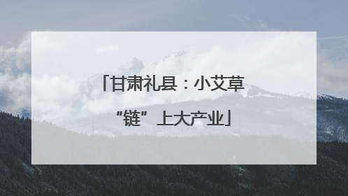 甘肃礼县：小艾草“链”上大产业