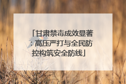 甘肃禁毒成效显著：高压严打与全民防控构筑安全防线