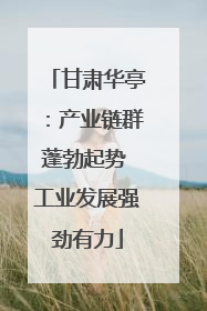 甘肃华亭：产业链群蓬勃起势 工业发展强劲有力