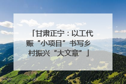 甘肃正宁：以工代赈“小项目”书写乡村振兴“大文章”