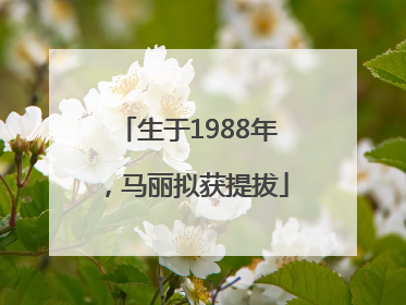生于1988年，马丽拟获提拔