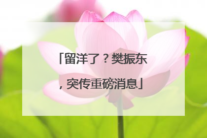 留洋了？樊振东，突传重磅消息