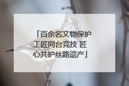 百余名文物保护工匠同台竞技 匠心共护丝路遗产