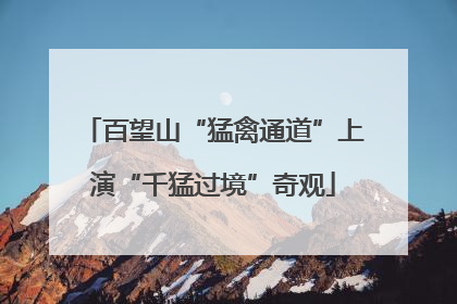 百望山“猛禽通道”上演“千猛过境”奇观