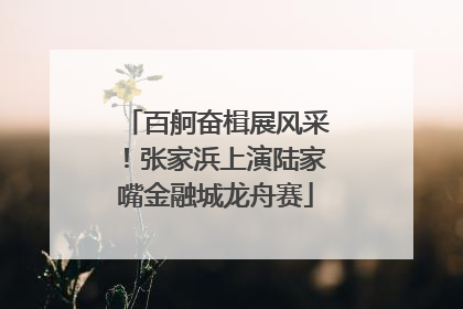 百舸奋楫展风采！张家浜上演陆家嘴金融城龙舟赛