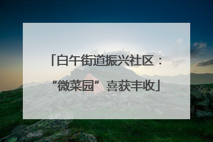 白午街道振兴社区：“微菜园”喜获丰收
