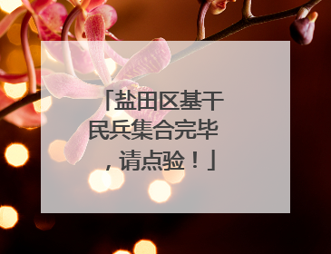盐田区基干民兵集合完毕，请点验！