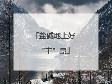 盐碱地上好“丰”景