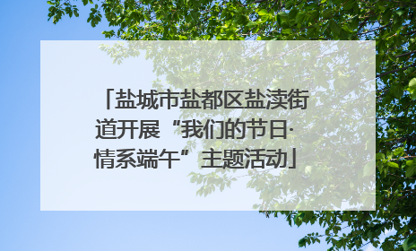 盐城市盐都区盐渎街道开展“我们的节日·情系端午”主题活动