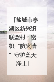 盐城市亭湖区新兴镇联盟村：密织“防火墙”守护蓝天净土