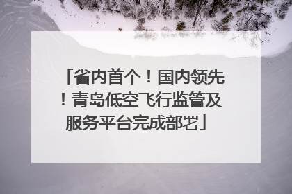 省内首个！国内领先！青岛低空飞行监管及服务平台完成部署