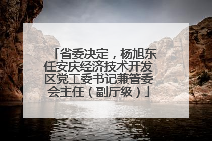 省委决定，杨旭东任安庆经济技术开发区党工委书记兼管委会主任（副厅级）