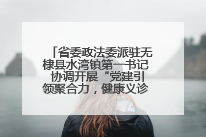 省委政法委派驻无棣县水湾镇第一书记 协调开展“党建引领聚合力，健康义诊惠乡亲”义诊活动