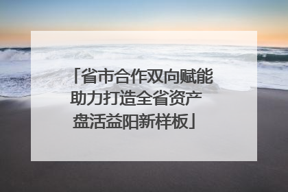 省市合作双向赋能 助力打造全省资产盘活益阳新样板