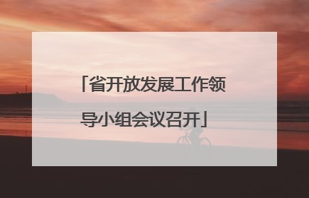省开放发展工作领导小组会议召开