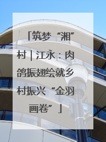 筑梦“湘”村｜江永：肉鸽振翅绘就乡村振兴“金羽画卷”