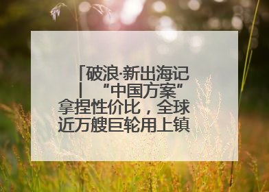 破浪·新出海记丨 “中国方案”拿捏性价比，全球近万艘巨轮用上镇江“节能桨”