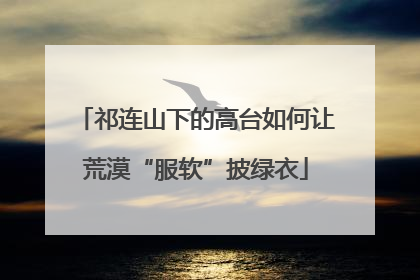 祁连山下的高台如何让荒漠“服软”披绿衣