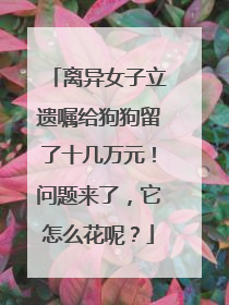 离异女子立遗嘱给狗狗留了十几万元！问题来了，它怎么花呢？