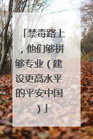 禁毒路上，他们够拼够专业（建设更高水平的平安中国）