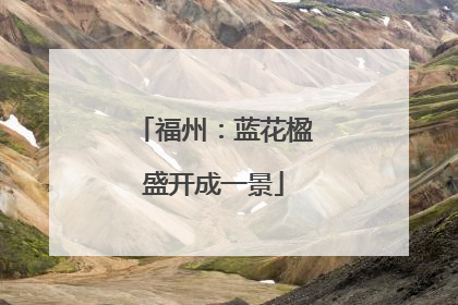 福州：蓝花楹盛开成一景
