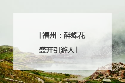 福州：醉蝶花盛开引游人