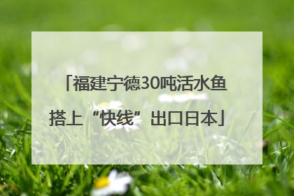 福建宁德30吨活水鱼搭上“快线”出口日本