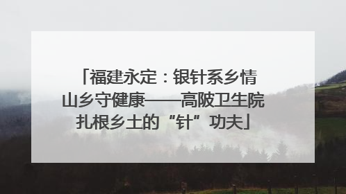 福建永定：银针系乡情 山乡守健康——高陂卫生院扎根乡土的“针”功夫