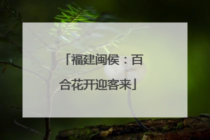 福建闽侯：百合花开迎客来