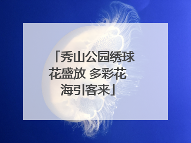 秀山公园绣球花盛放 多彩花海引客来