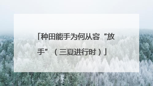 种田能手为何从容“放手”（三夏进行时）