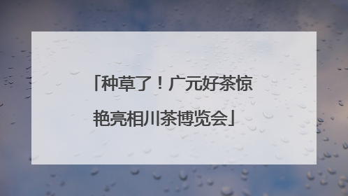 种草了！广元好茶惊艳亮相川茶博览会