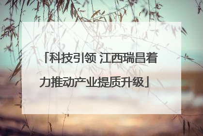 科技引领 江西瑞昌着力推动产业提质升级
