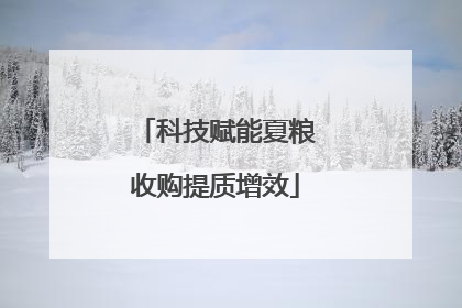 科技赋能夏粮收购提质增效