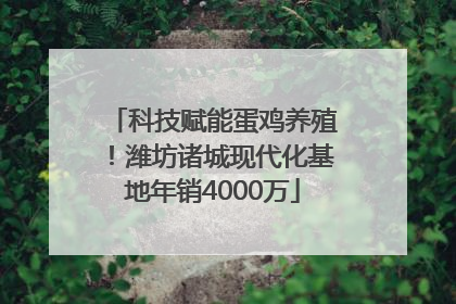 科技赋能蛋鸡养殖！潍坊诸城现代化基地年销4000万